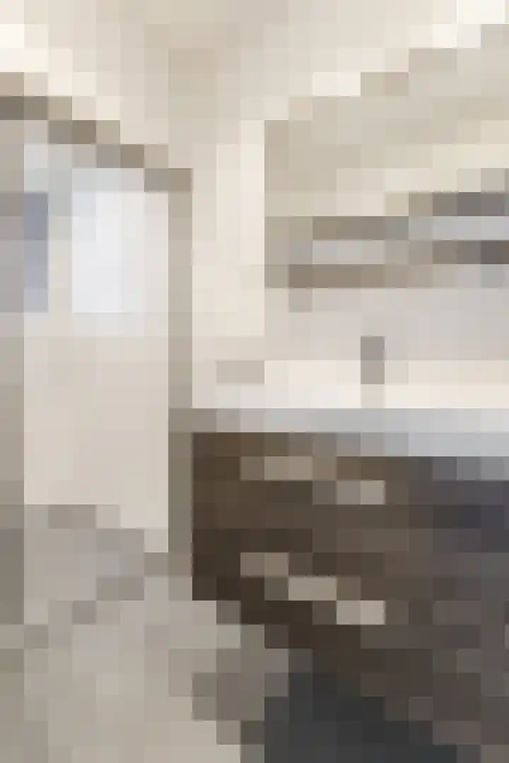 Lindenlaan 567 Amstelveen thumbnail 19