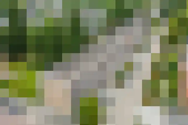 Lindenlaan 567 Amstelveen thumbnail 24