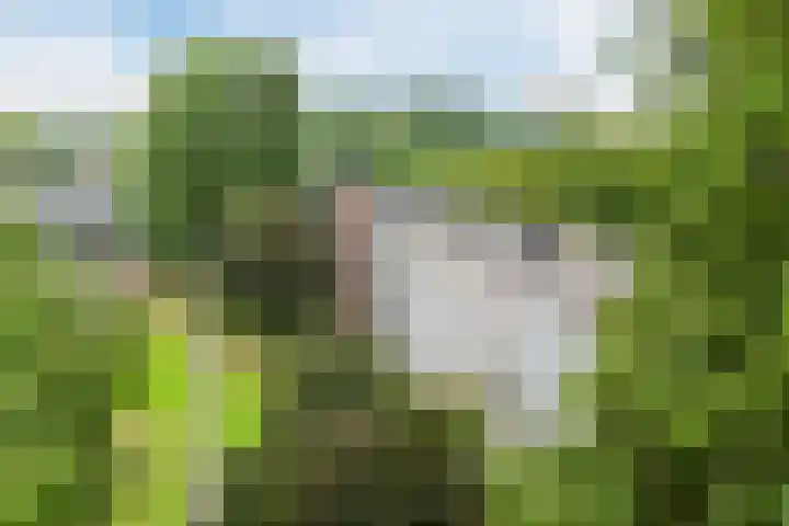 Lindenlaan 567 Amstelveen thumbnail 28