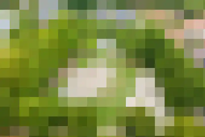 Lindenlaan 567 Amstelveen thumbnail 30