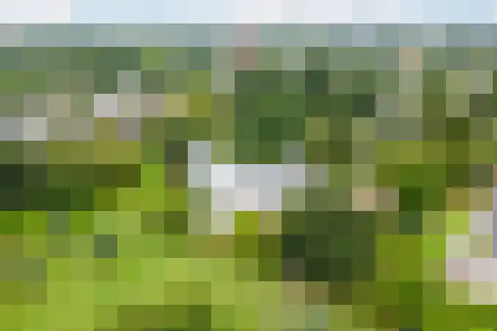 Lindenlaan 567 Amstelveen thumbnail 31