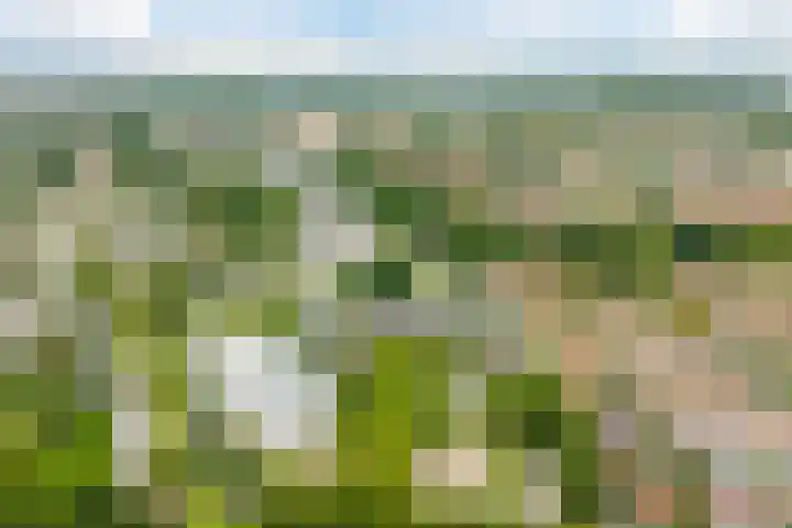 Lindenlaan 567 Amstelveen thumbnail 32