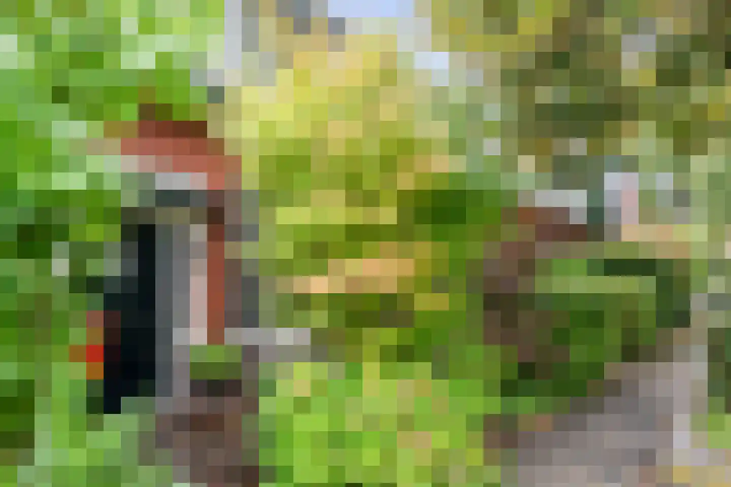 Lindenlaan 57 Heemstede thumbnail 30