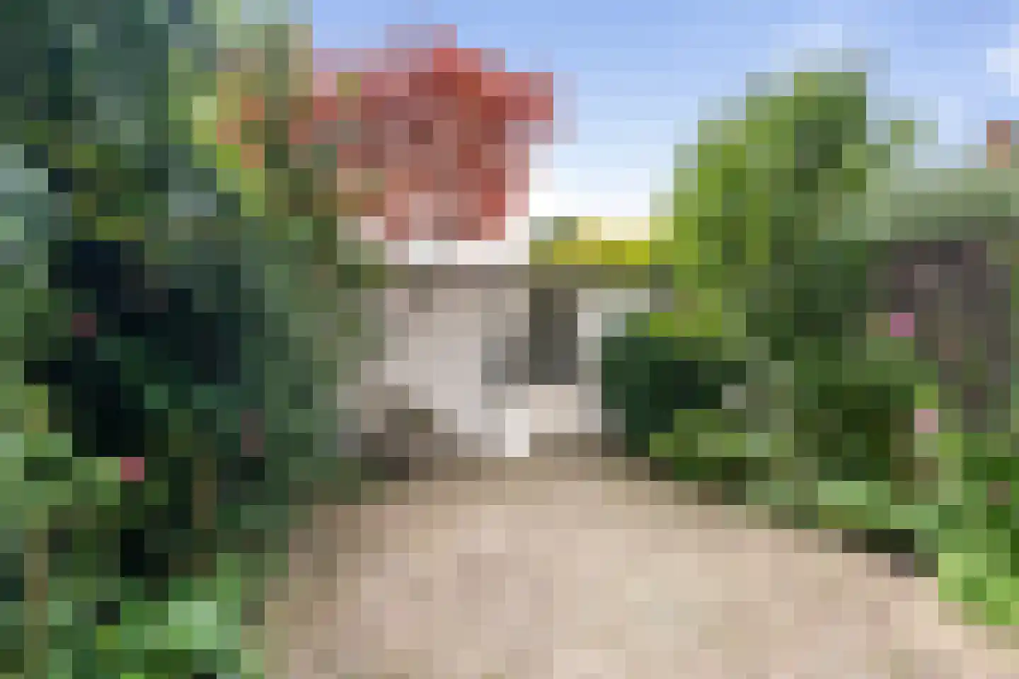 Lindenlaan 57 Heemstede thumbnail 9