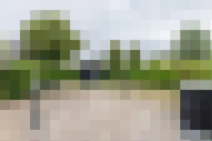 Lindenlaan 58 Bunde thumbnail 17