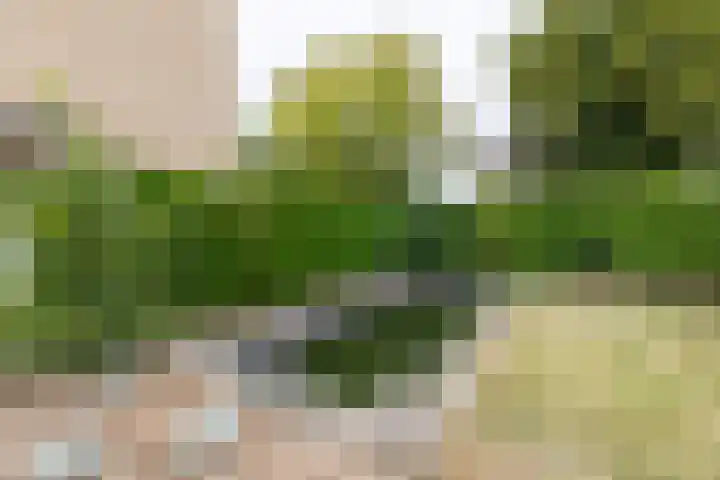 Lindenlaan 58 Bunde thumbnail 18