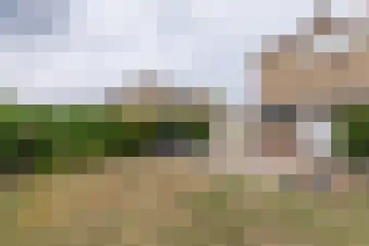 Lindenlaan 58 Bunde thumbnail 19