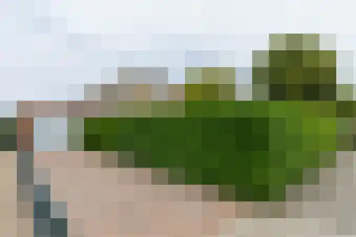 Lindenlaan 58 Bunde thumbnail 21