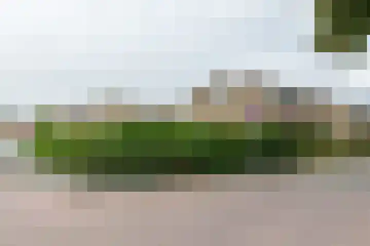 Lindenlaan 58 Bunde thumbnail 24