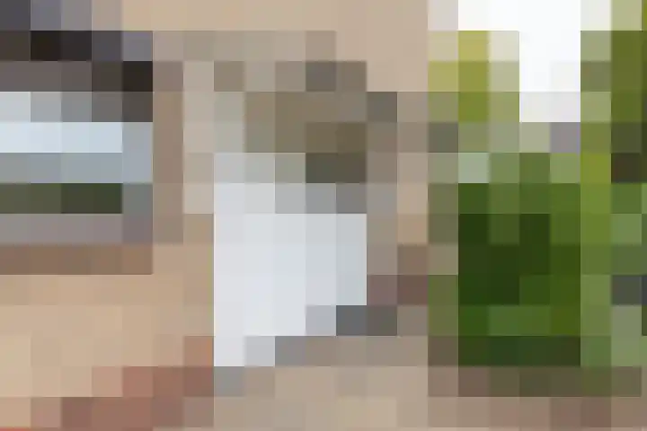Lindenlaan 58 Bunde thumbnail 4