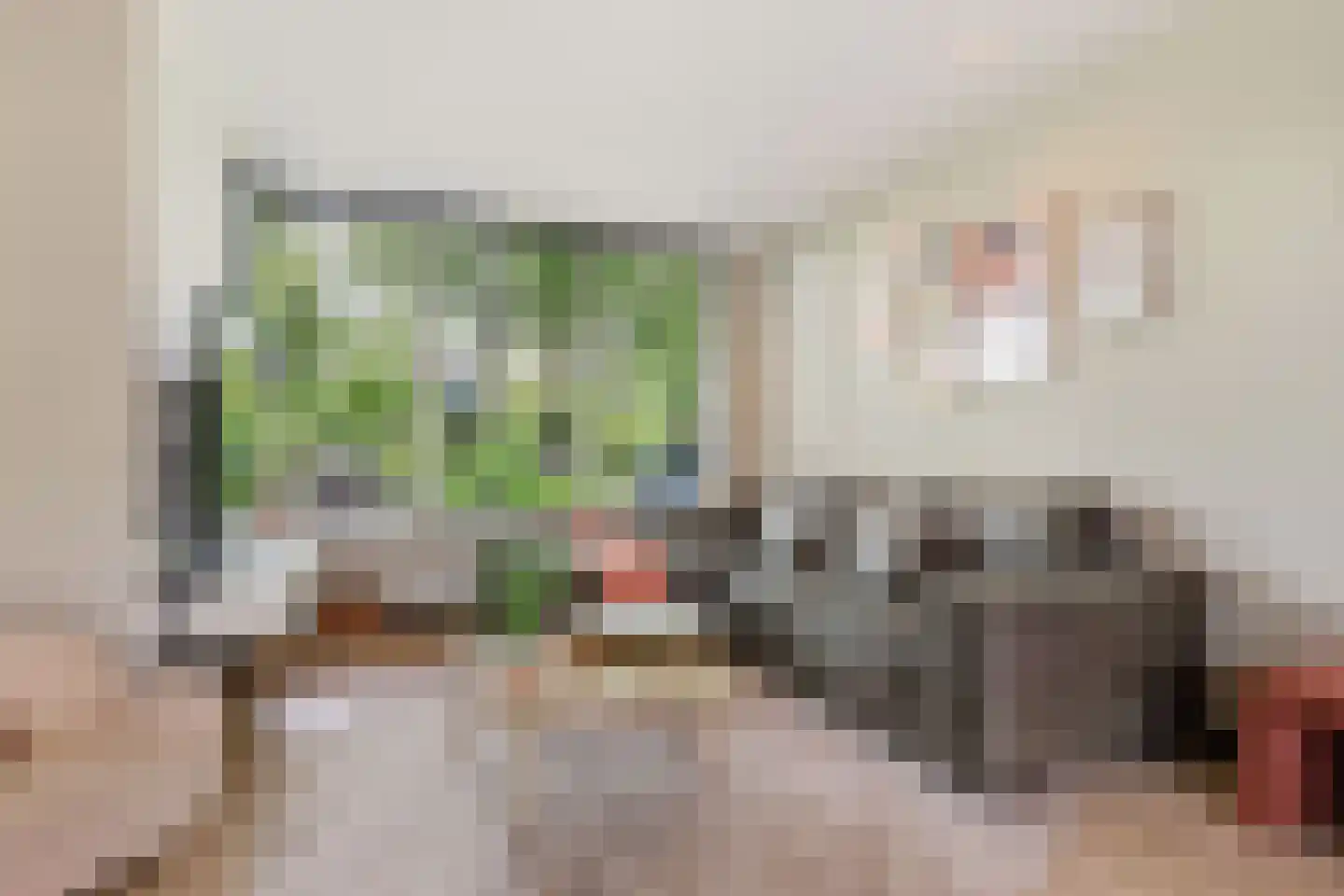 Lindenlaan 58 Castricum thumbnail 11