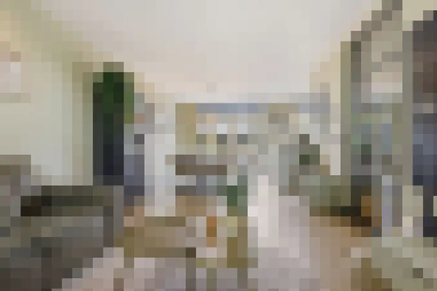 Lindenlaan 58 Castricum thumbnail 12