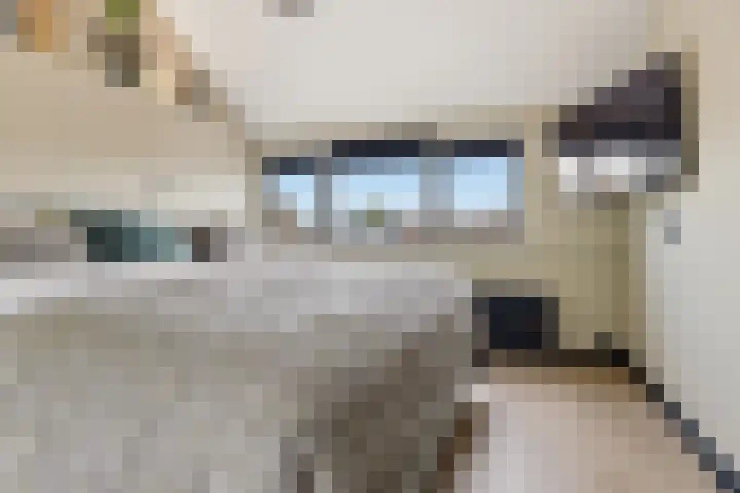 Lindenlaan 58 Castricum thumbnail 33