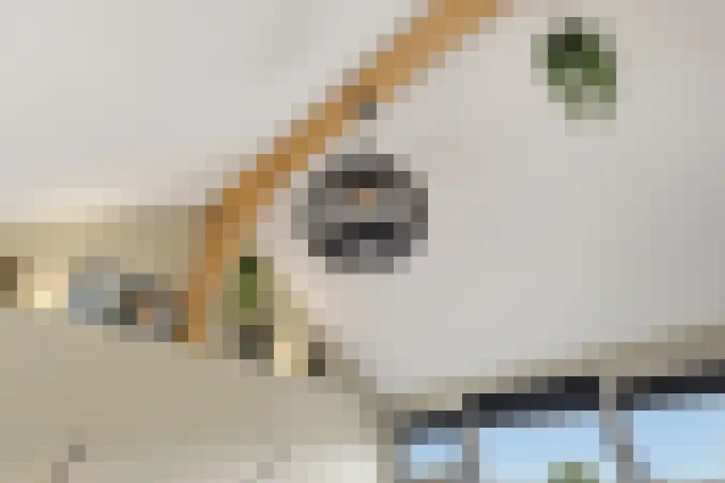 Lindenlaan 58 Castricum thumbnail 35