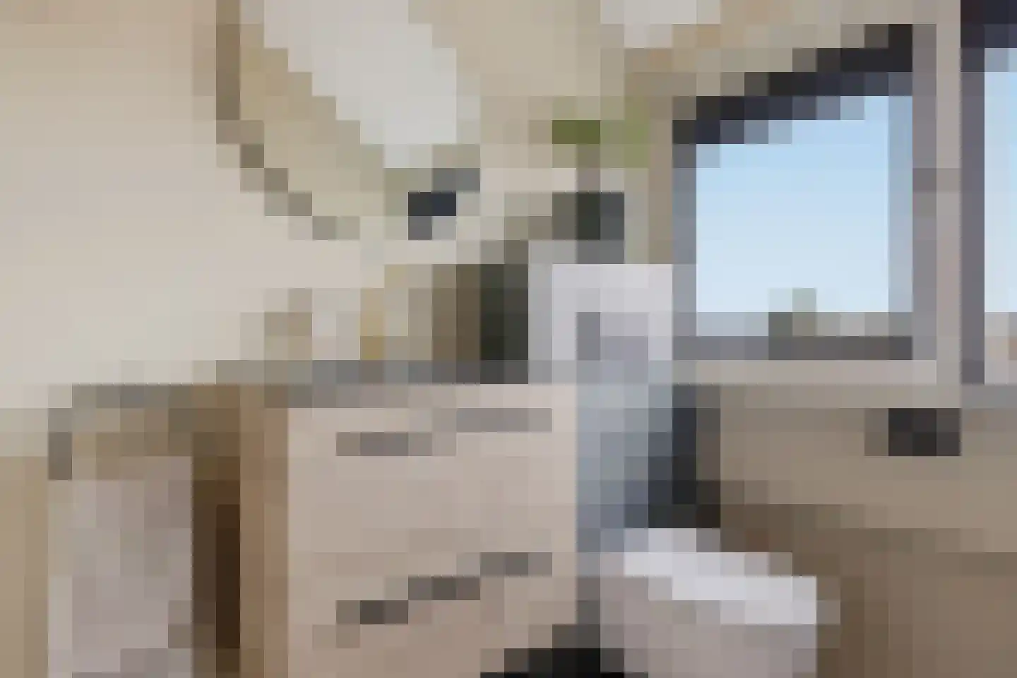 Lindenlaan 58 Castricum thumbnail 36