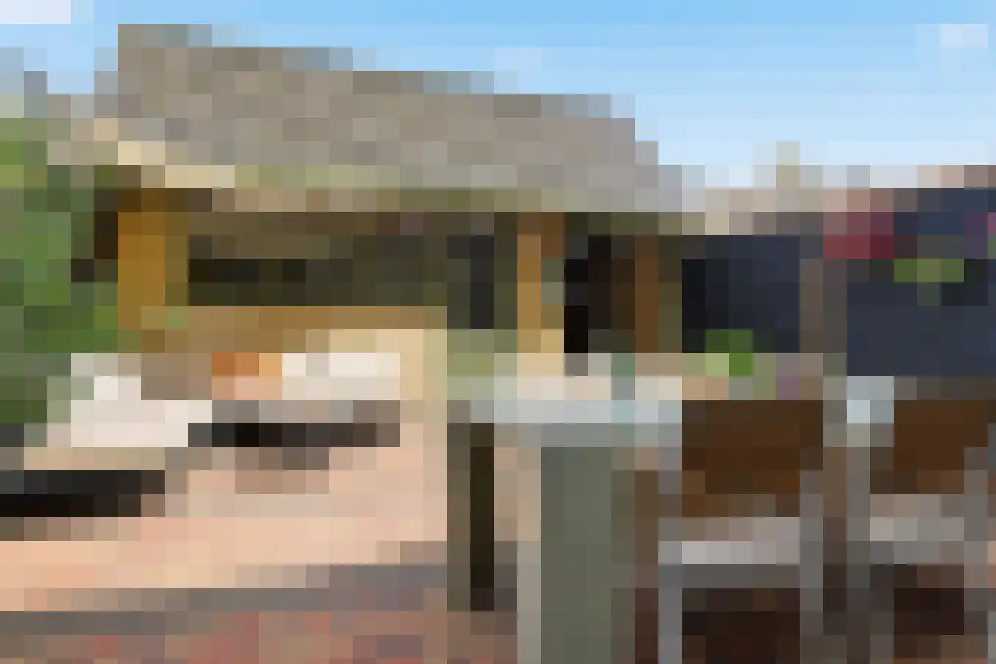 Lindenlaan 58 Castricum thumbnail 39
