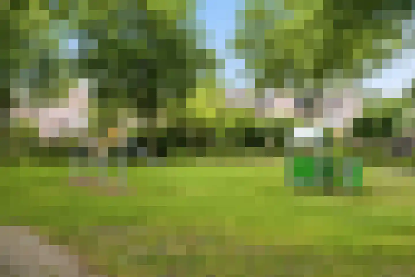 Lindenlaan 58 Castricum thumbnail 46