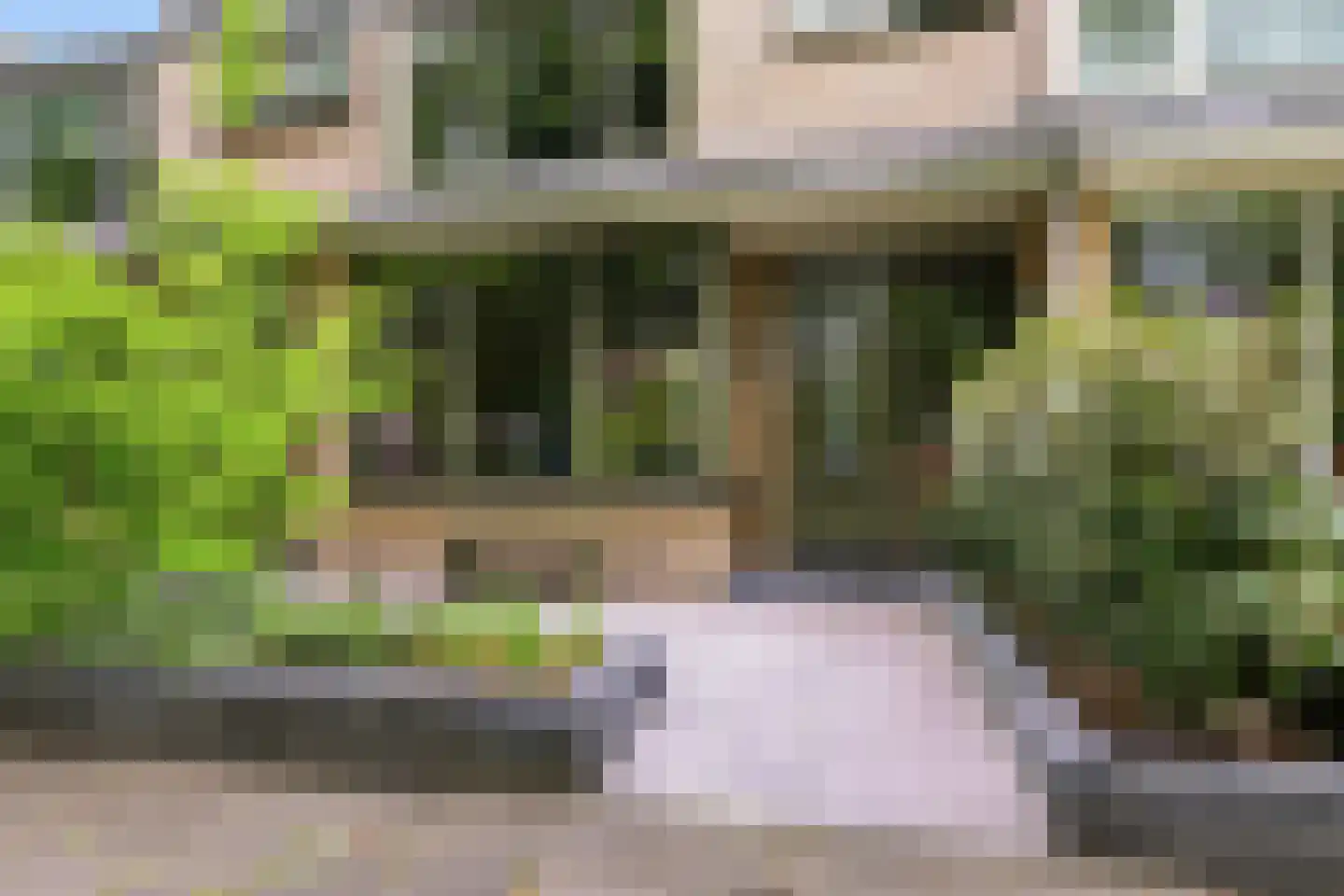 Lindenlaan 58 Castricum thumbnail 5