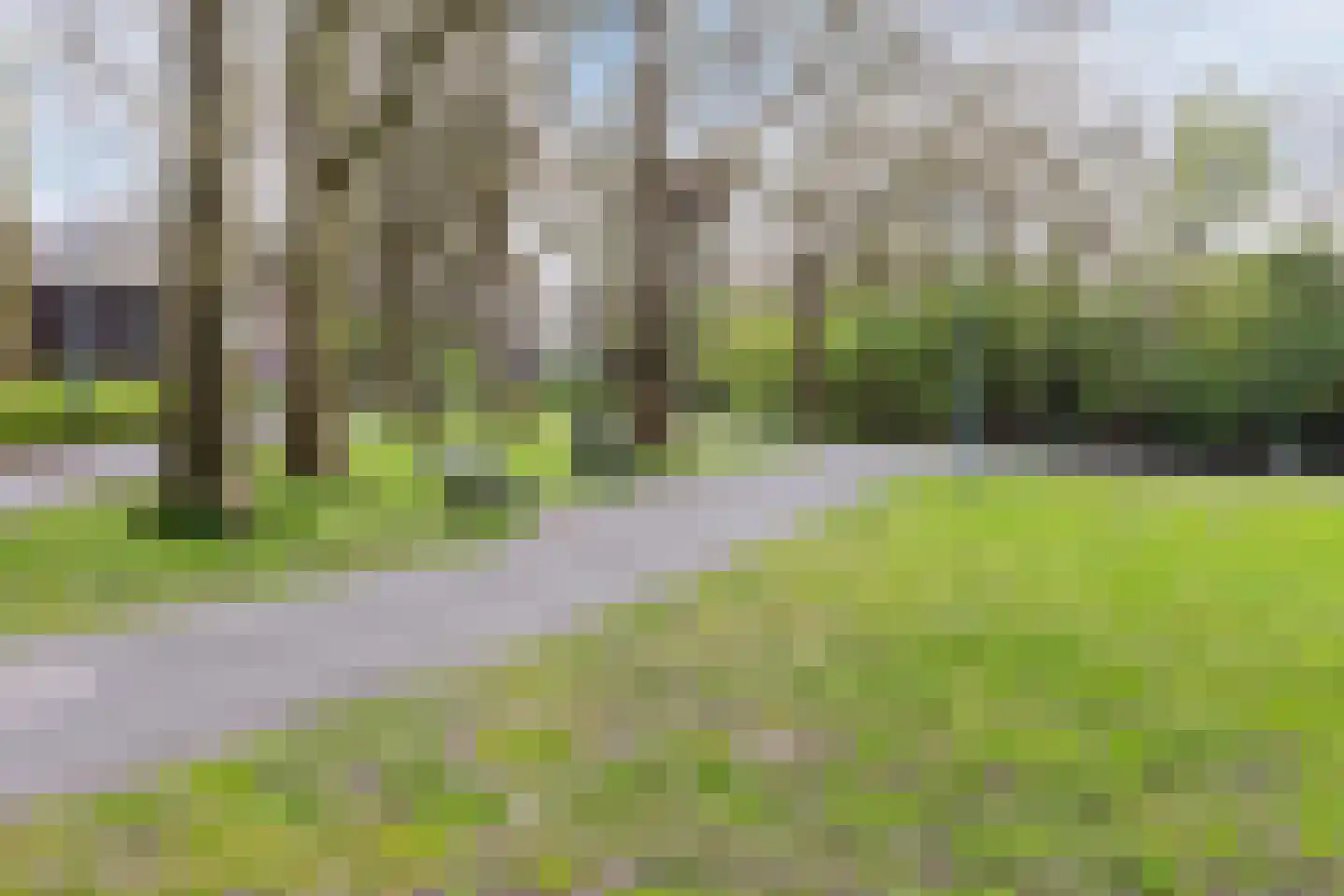 Lindenlaan 59 Zwanenburg thumbnail 35