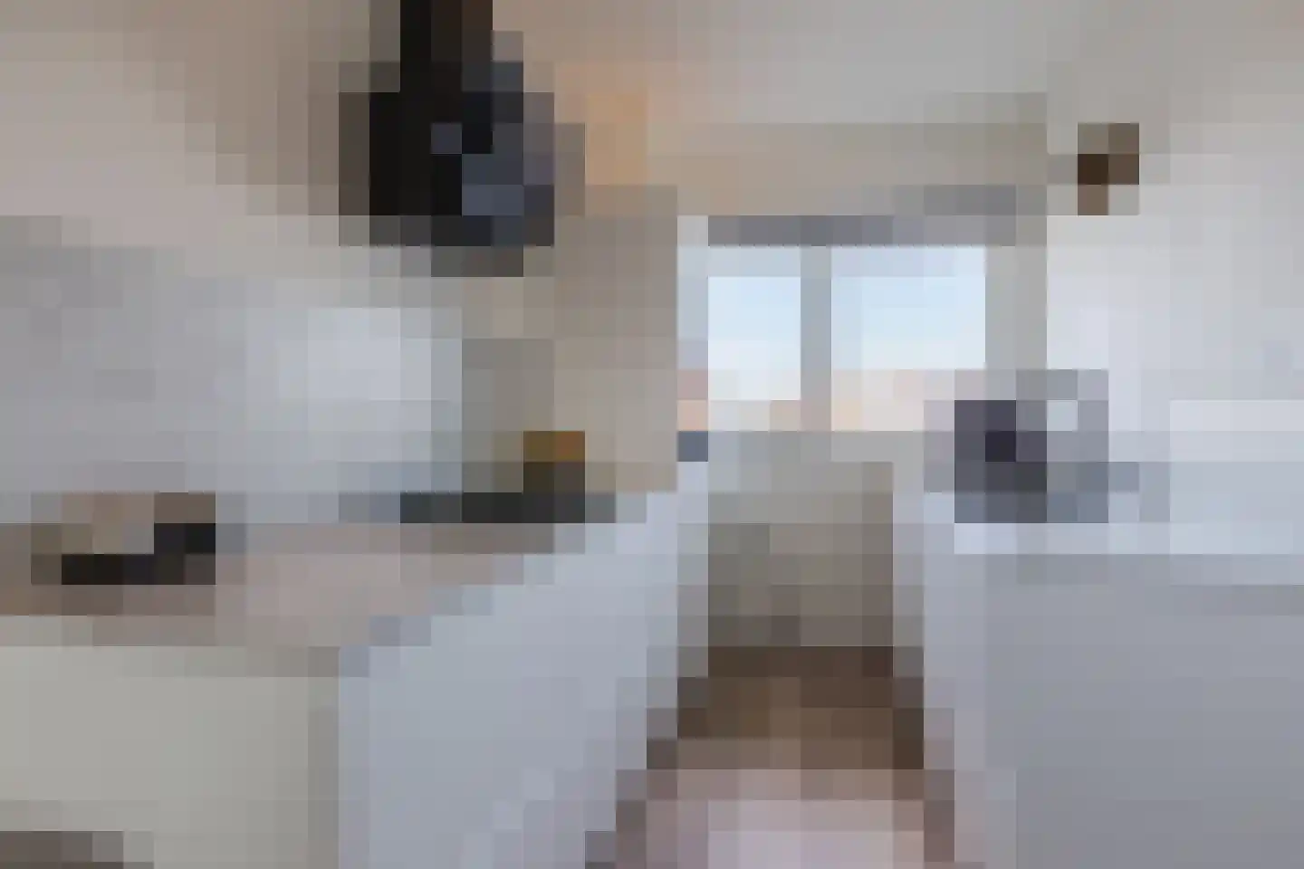 Lindenlaan 59 Zwanenburg thumbnail 7