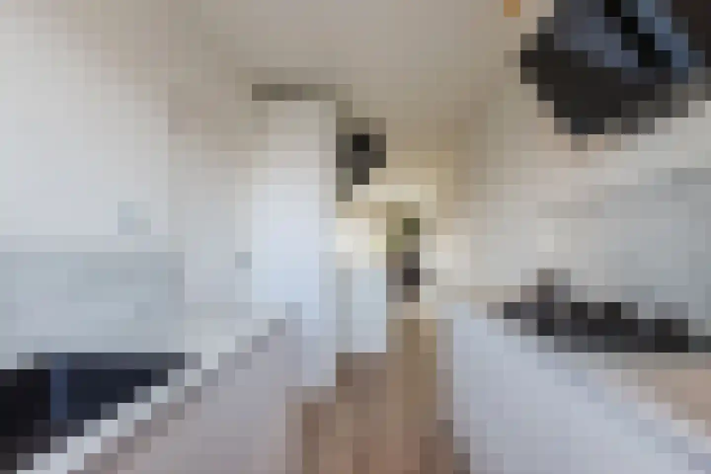 Lindenlaan 59 Zwanenburg thumbnail 8