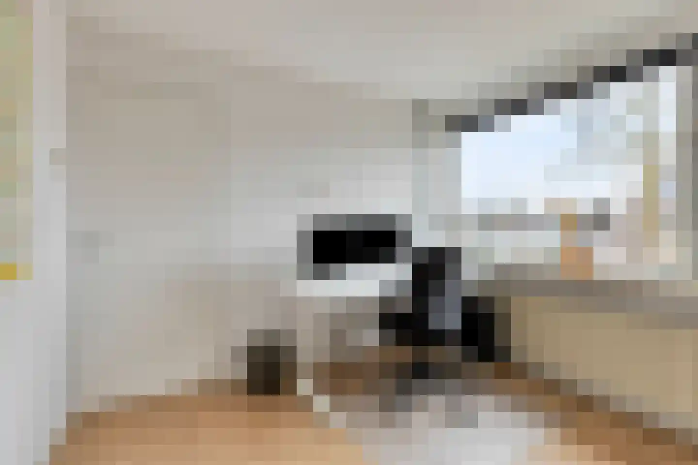 Lindenlaan 6 Bemmel thumbnail 18