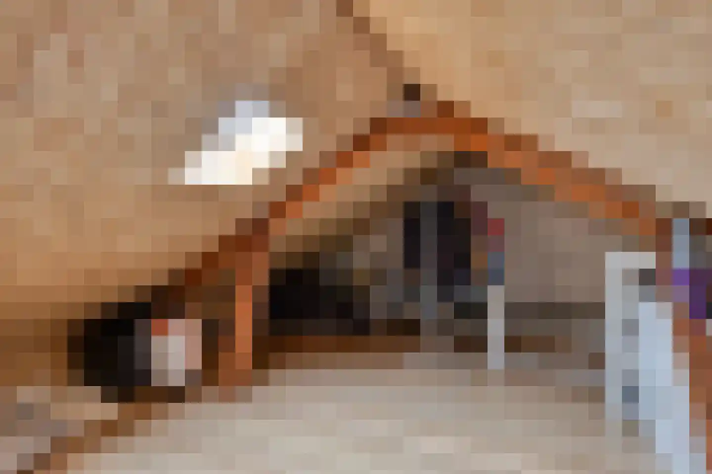 Lindenlaan 6 Bemmel thumbnail 24