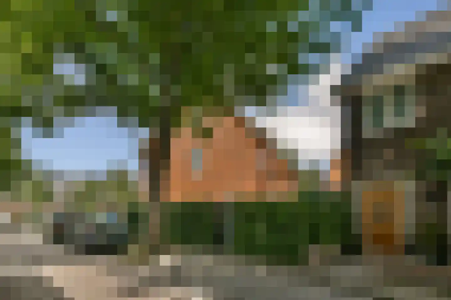 Lindenlaan 6 Beverwijk thumbnail 16