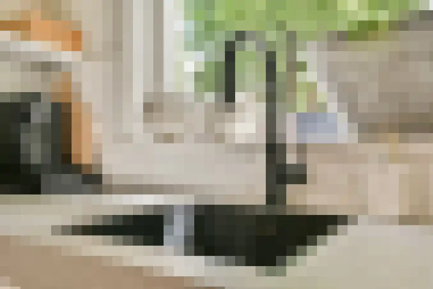 Lindenlaan 6 Beverwijk thumbnail 17