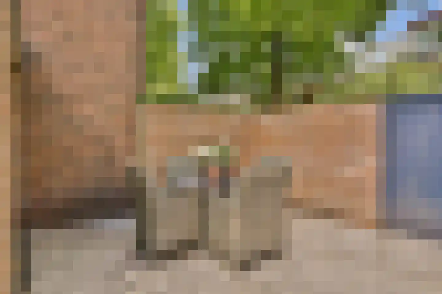 Lindenlaan 6 Beverwijk thumbnail 19