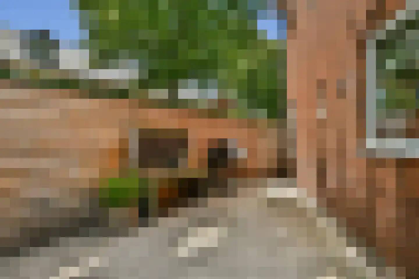 Lindenlaan 6 Beverwijk thumbnail 20