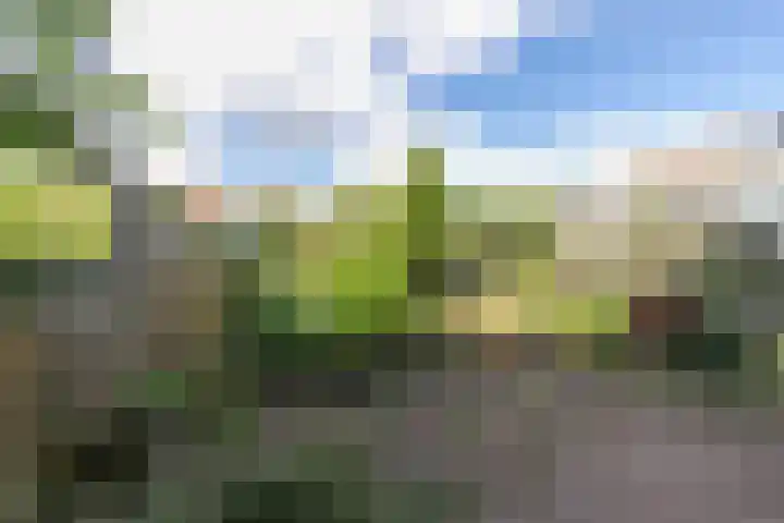 Lindenlaan 6 Leimuiden thumbnail 11