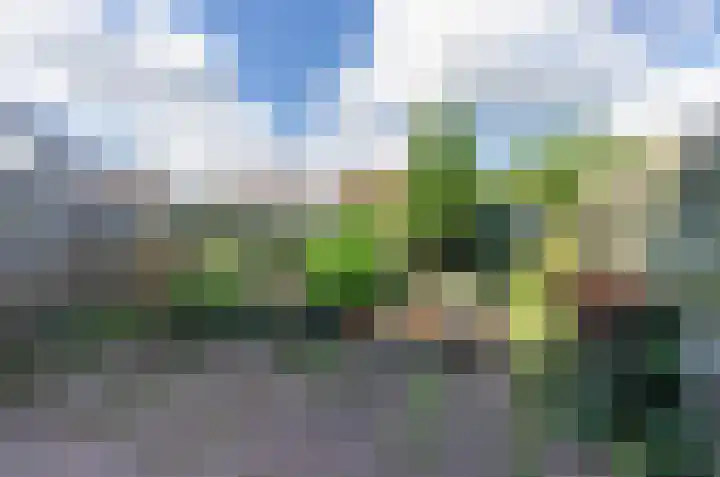 Lindenlaan 6 Leimuiden thumbnail 12
