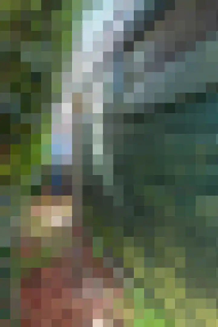 Lindenlaan 6 Leimuiden thumbnail 13