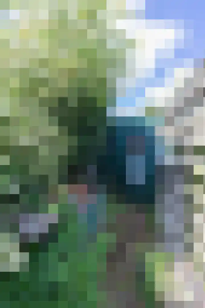 Lindenlaan 6 Leimuiden thumbnail 14