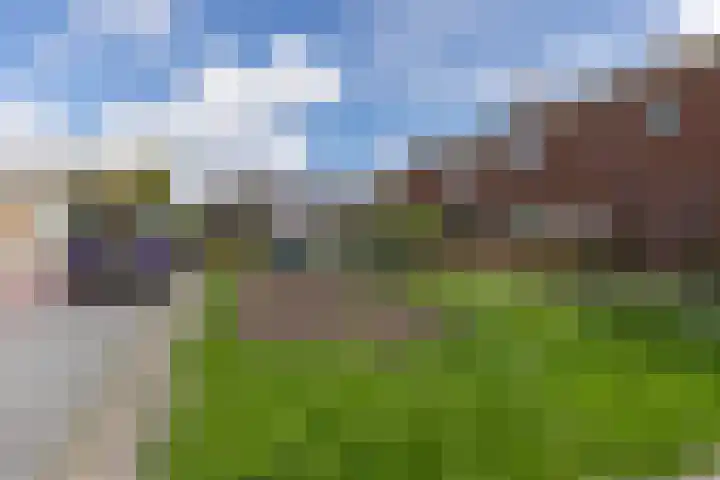 Lindenlaan 6 Leimuiden thumbnail 34
