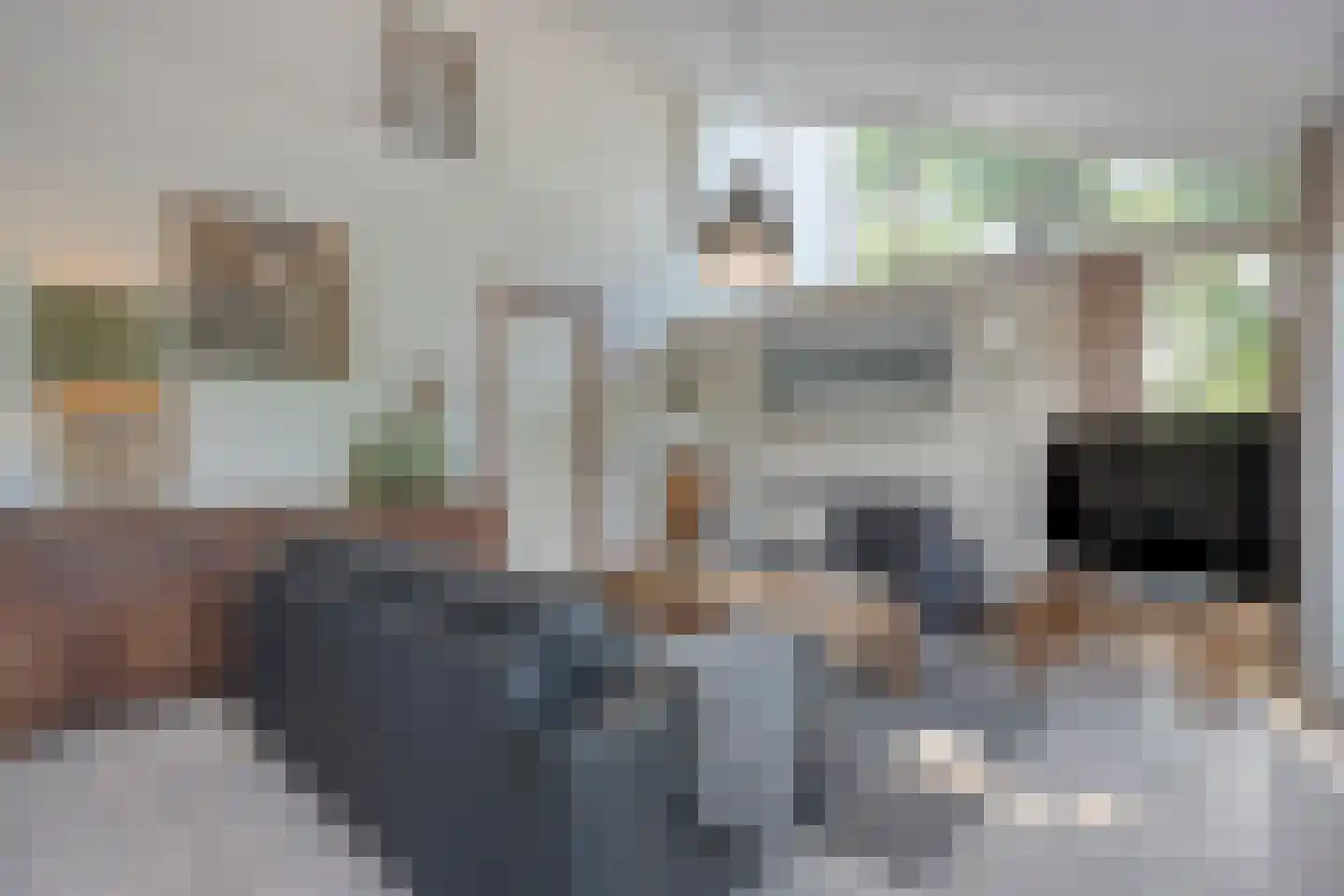Lindenlaan 6 Ommen thumbnail 19