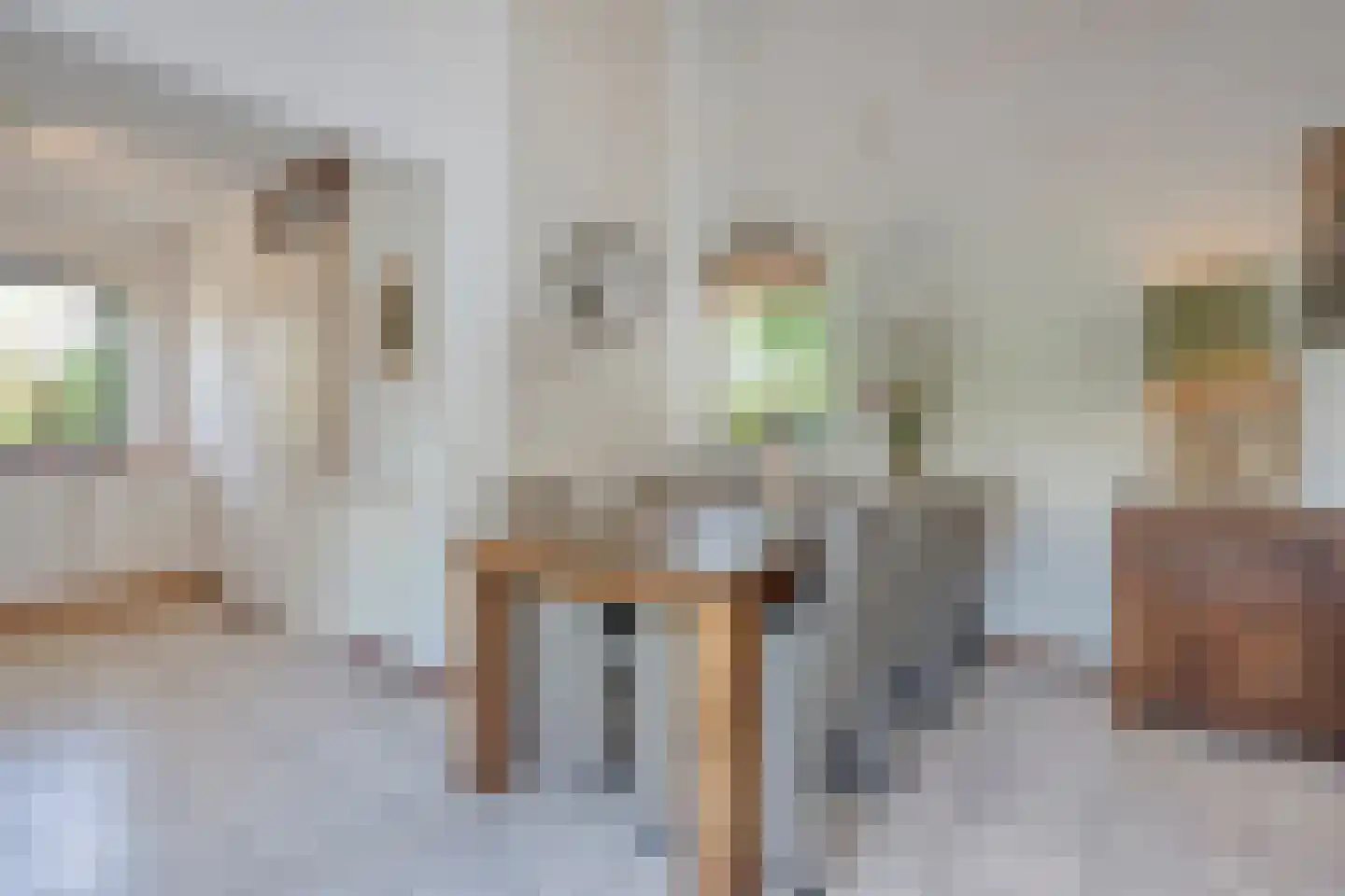 Lindenlaan 6 Ommen thumbnail 20