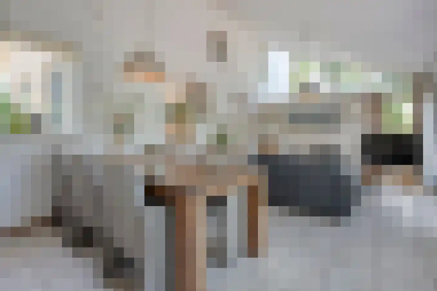 Lindenlaan 6 Ommen thumbnail 21