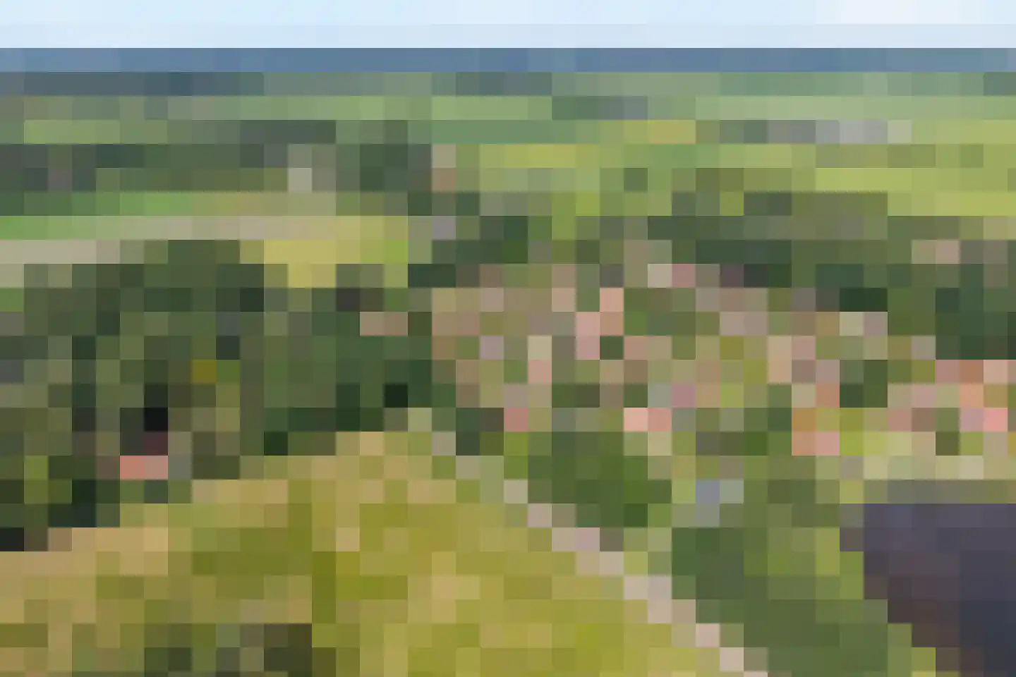 Lindenlaan 6 Ommen thumbnail 4