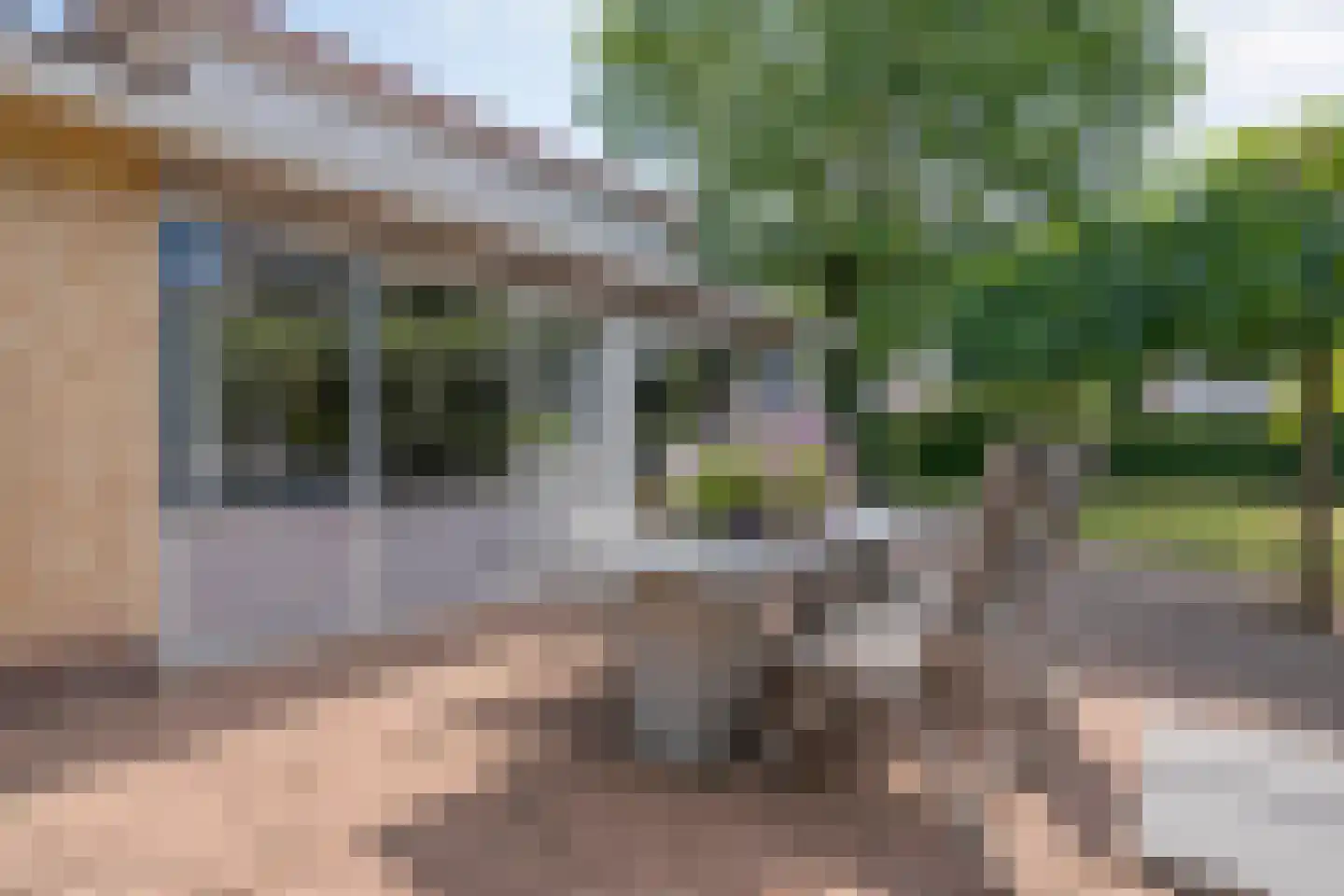 Lindenlaan 6 Ommen thumbnail 46
