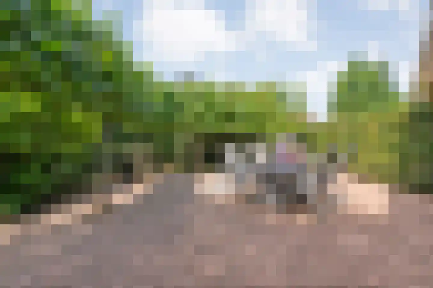 Lindenlaan 6 Ommen thumbnail 47