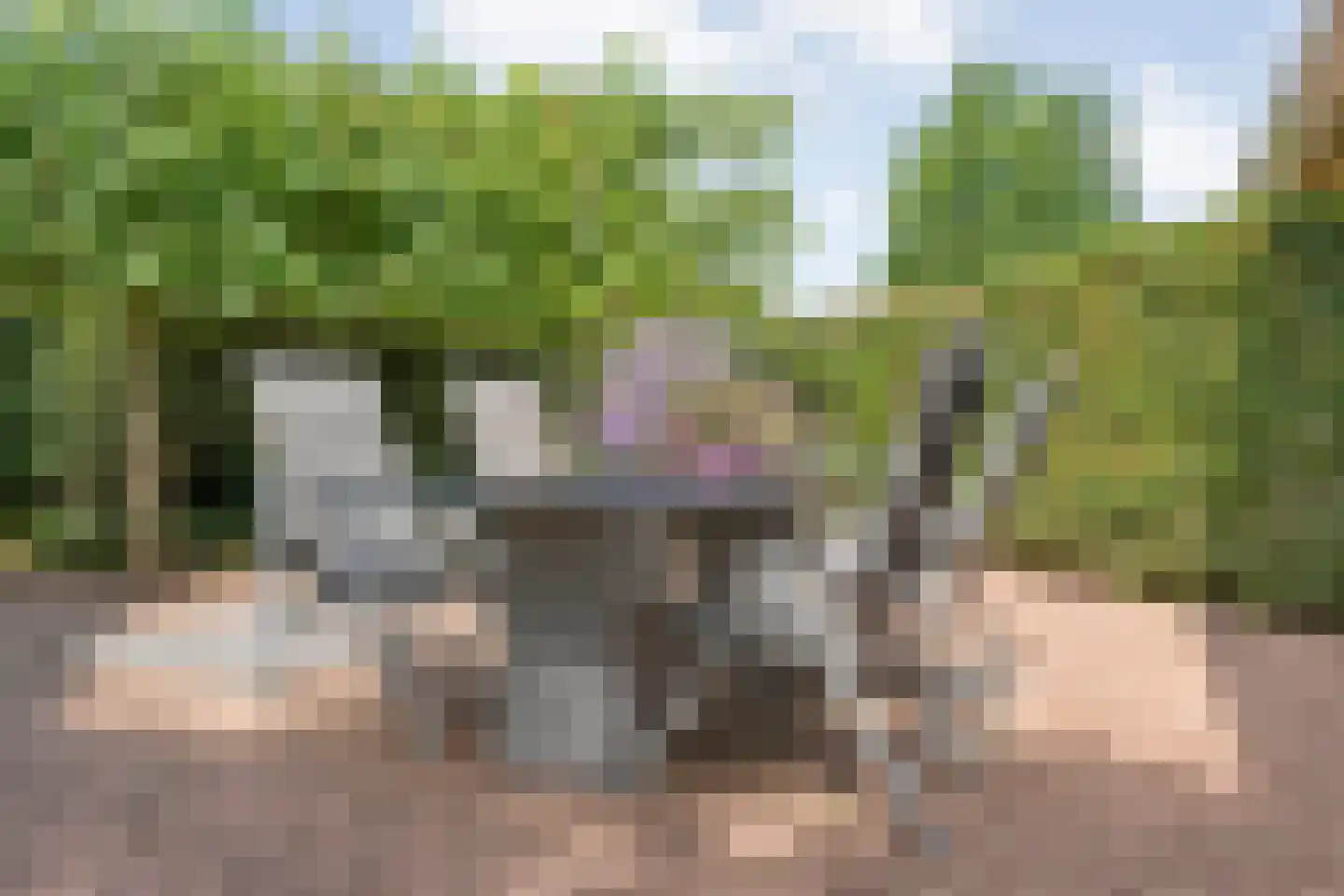 Lindenlaan 6 Ommen thumbnail 48