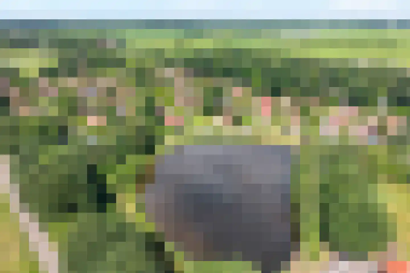Lindenlaan 6 Ommen thumbnail 5
