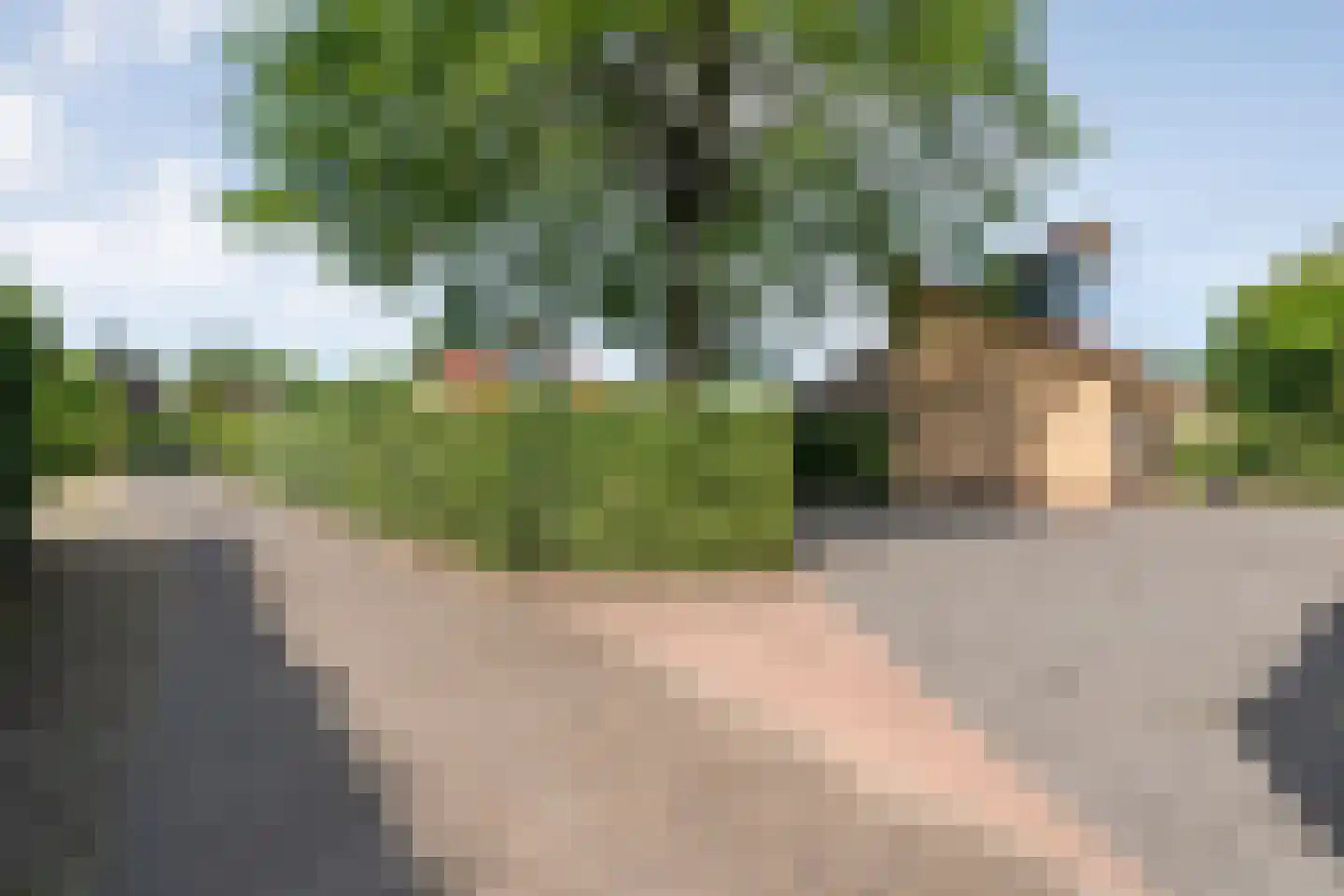 Lindenlaan 6 Ommen thumbnail 7