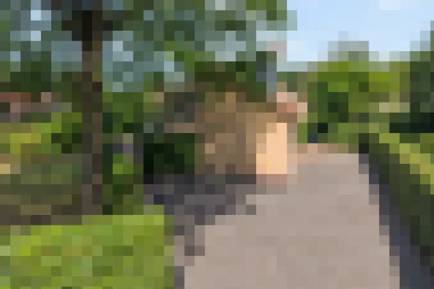 Lindenlaan 6 Ommen thumbnail 8