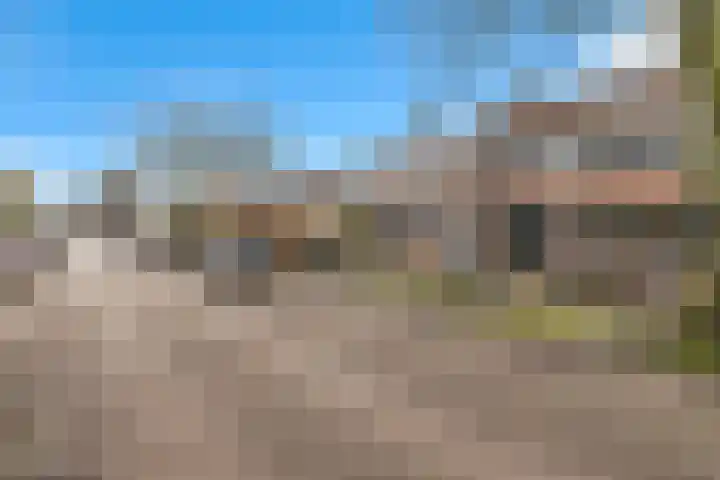 Lindenlaan 60 Schagen thumbnail 29
