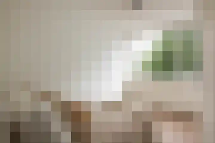 Lindenlaan 603 Amstelveen thumbnail 15