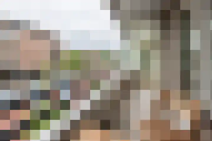 Lindenlaan 603 Amstelveen thumbnail 20