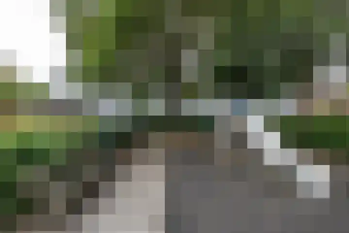 Lindenlaan 603 Amstelveen thumbnail 27